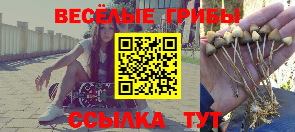 Знаменск  Псилоцибиновые грибы мухоморы  Псилоцибиновые грибы прущие грибы  Вход с VPN 