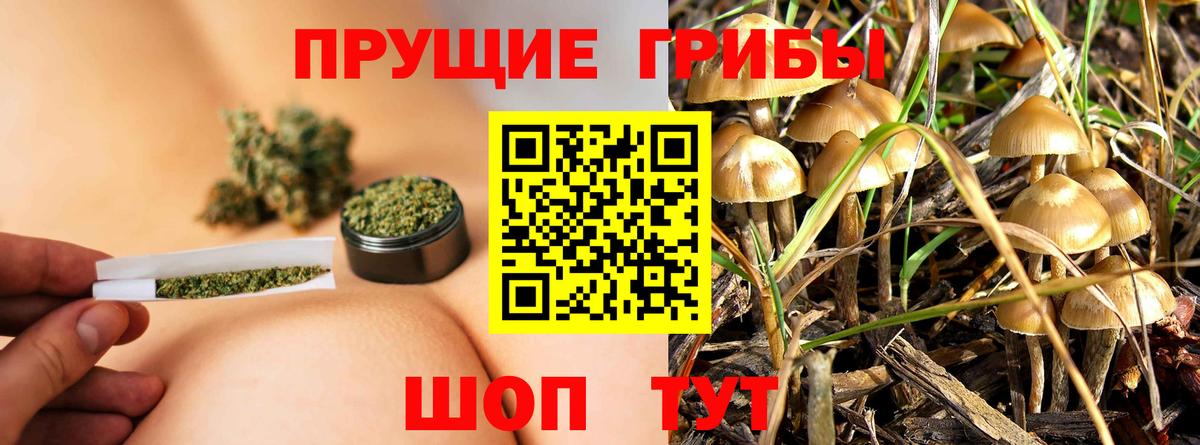 Псилоцибиновые грибы GOLDEN TEACHER Знаменск